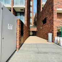 画像3281