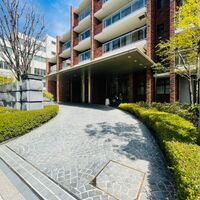 画像3286
