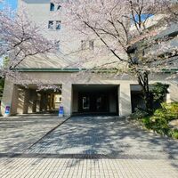 画像3305