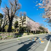 画像3307