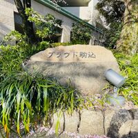 画像3308