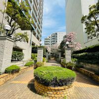 画像3336