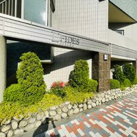 画像3676