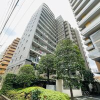 画像4259