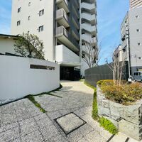 画像4298