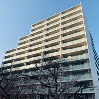 画像4805