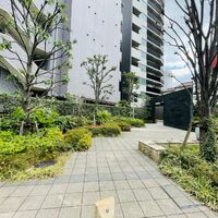 画像5098