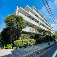 画像7251