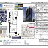 画像9274