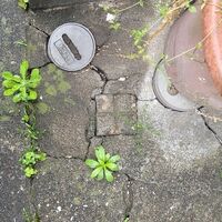画像9383