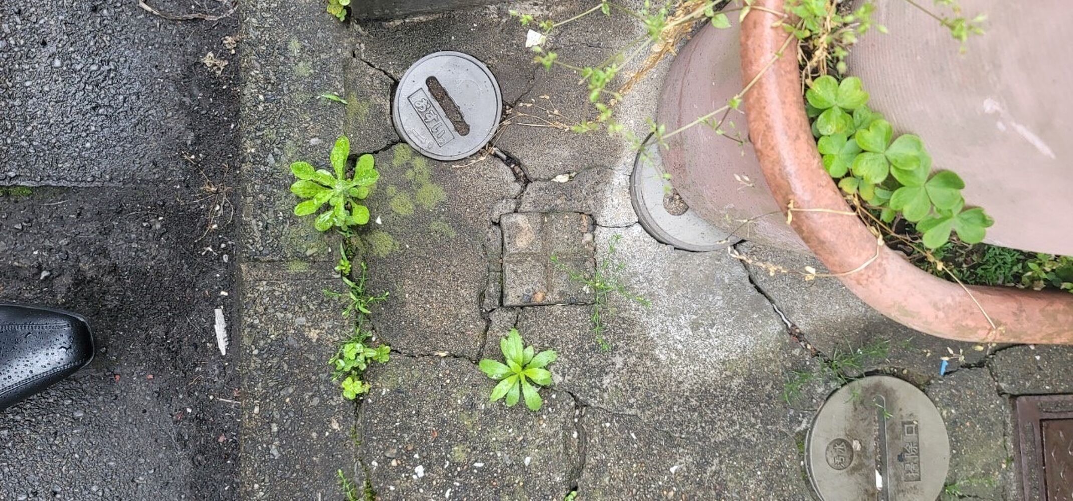 画像9383